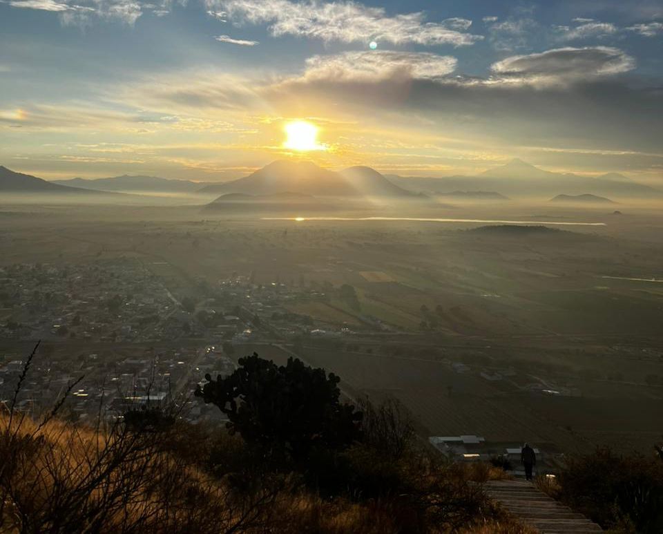 Descripción de la imagen